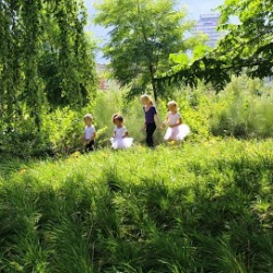 Danszaandam, balletschool