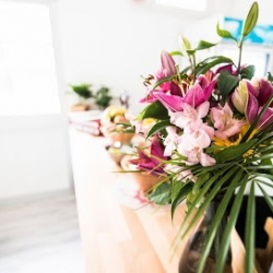 Danzarin Centro Arte & Danza Bologna