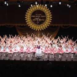 Ataşehir Ebru Bale ve Piyano Kursları İstanbul Anadolu Yakası