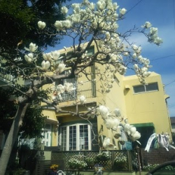 フジタバレエ研究所 本校