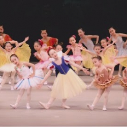 南浦和クラシックバレエアカデミー ベルフィーユバレエスタジオ Studio As you find