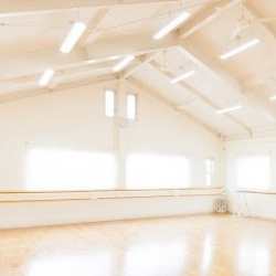 ヒノウエ・バレエアート