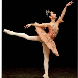 ラ・プリュウーム バレエ教室 藤が丘