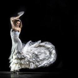 LA SOLEÁ - Zentrum für Flamencokunst/ Centro de Arte Flamenco Freiburg