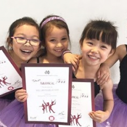 Les Danseurs Dance & Art Academy