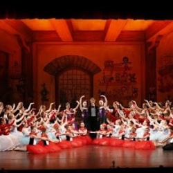 Lily's Dance Studios