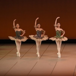 マミダンスカンパニー