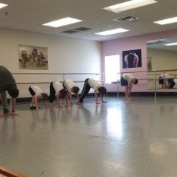 New Ballet Ensemble & School