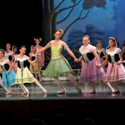 The Las Cruces School of Dance and Music