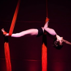 Night Owl Circus Arts