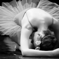 Petits Rats - Dance School