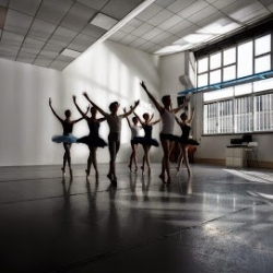 Profession Dance Parma