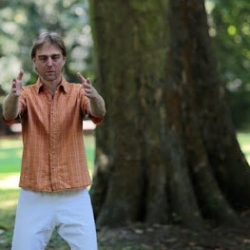 Tanz, Qi Gong und Haka