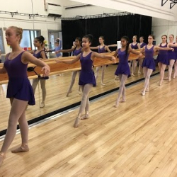 Rochelle Ballet School & Performing Arts