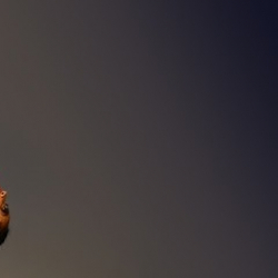 Salsa Latina Dance Centre Christchurch