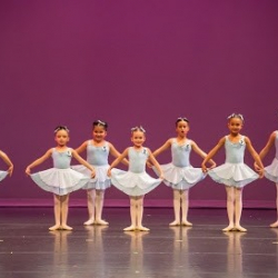 Sarasota Dance Academy