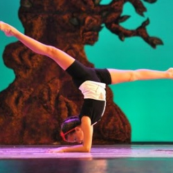 I.A.S.M. Istituto Arti Dello Spettacolo E Marziali