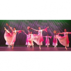 Shihui Dance School, LLC