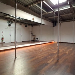 Stelia Dance & Pole