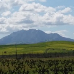 Step 2 This Dance & Performing Arts