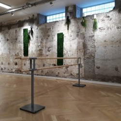 Le Studio 8 Ballet Attitude