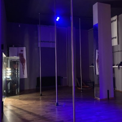 Studio Pole House