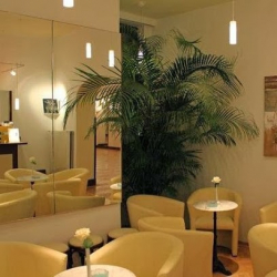 thomasTANZSCHULE kraml