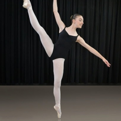 The Institute of Dancing Excellence T.I.D.E