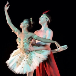 Academia Paula Firetti