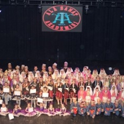 ALÂ SANAT AKADEMİSİ (PAŞAALANI ŞUBESİ)