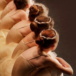 American Dance Institute Greenwood