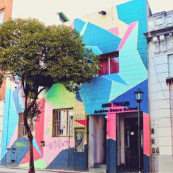 Arabian Dance School del Maestro Amir Thaleb