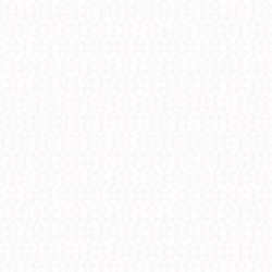 vzw Balletschool Toi Moi et la Danse | Evergem Muda Kunstencentrum