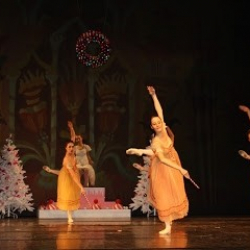 Ballett Akademie Wiesbaden