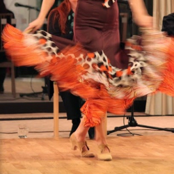 Ballettverein Ulm e.V.