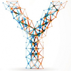 Biodanza Classes Amsterdam