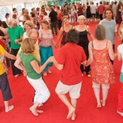 Alegria Biodanza Festivals