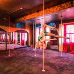Bobbi's Pole Studio Gold