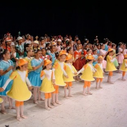 Studium Carla Petroni Escola Técnica de Dança