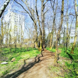 Charlie dance studio