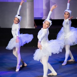 สถาบันเชียงใหม่บัลเล่ต์ (โรงเรียนเชียงใหม่นาฏยศิลป์สากล)